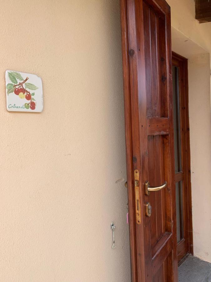 Agriturismo Terra Noas Villaurbana Exterior photo